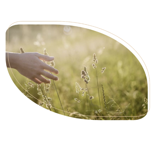 Vente à domicile cosmétique naturelle