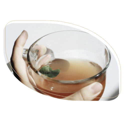 Vente à domicile cosmétique naturelle